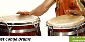 header image of the best conga drums article