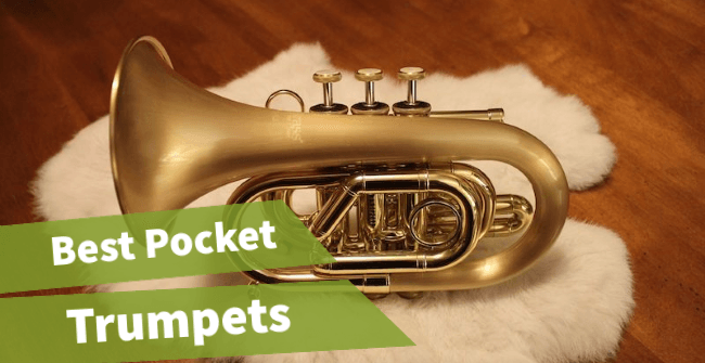 header image of the article best pocket trumpet reviews
