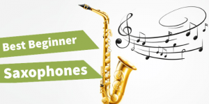 featured image of the article 'best saxophones for beginners review'