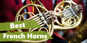 featured image of the article 'best french horns review'