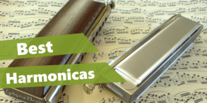 featured image of the article 'best harmonicas reviews'